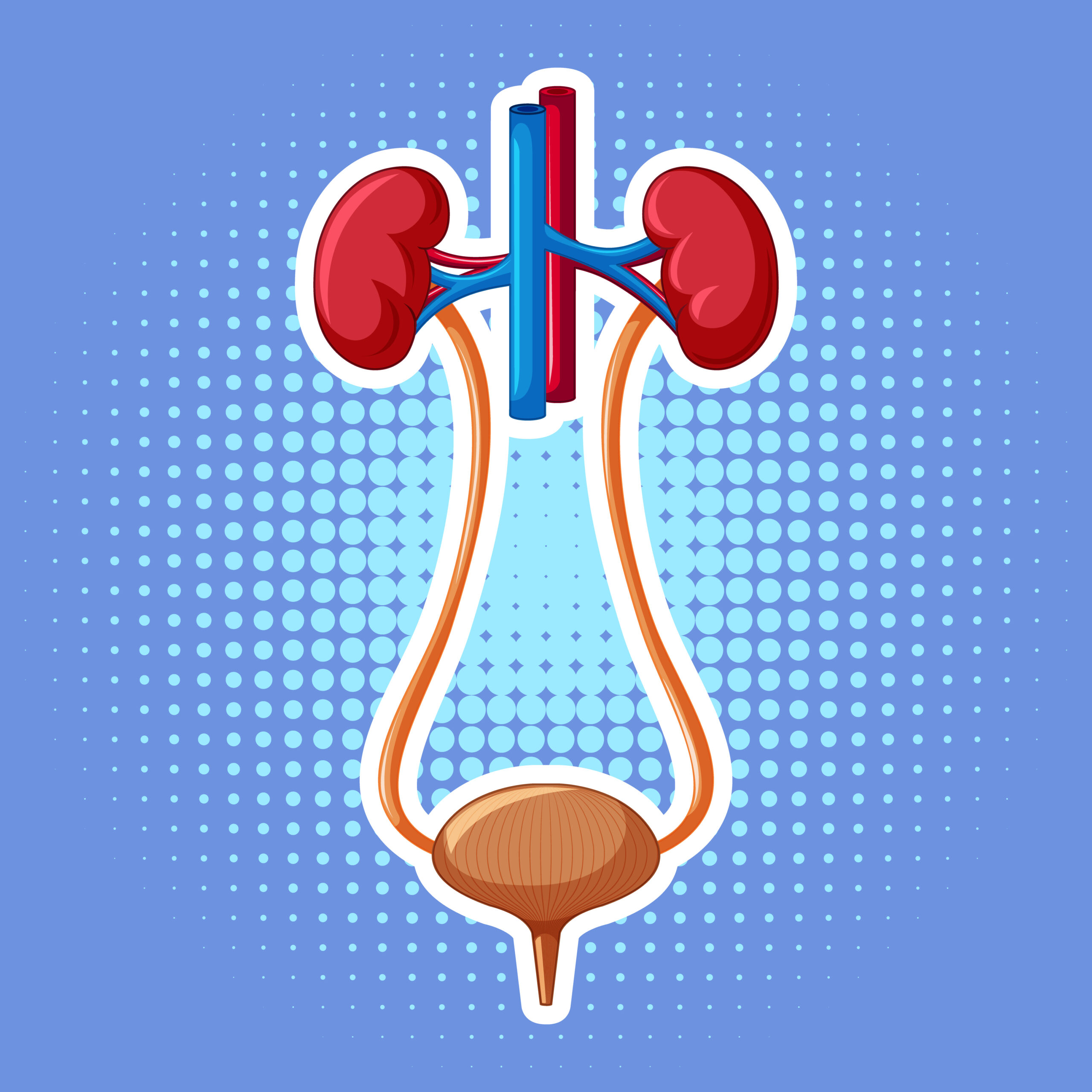 Johannesburg Urologist